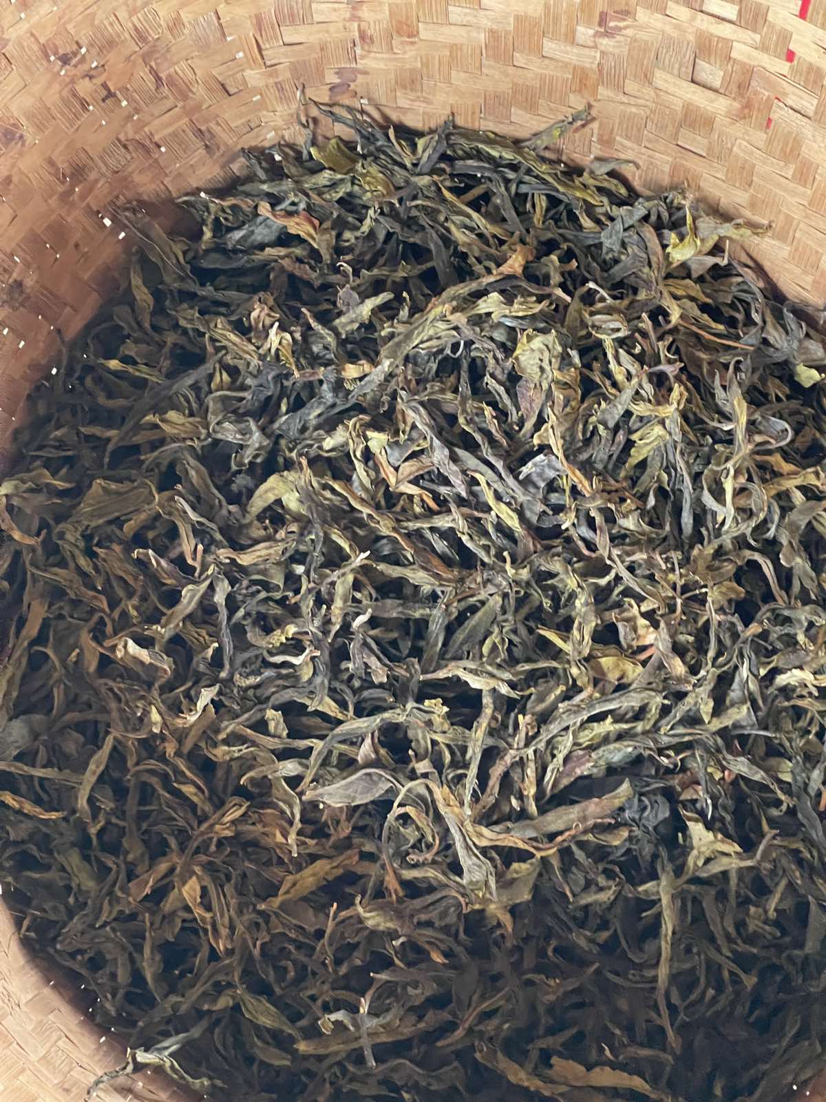 Tea Leaf
